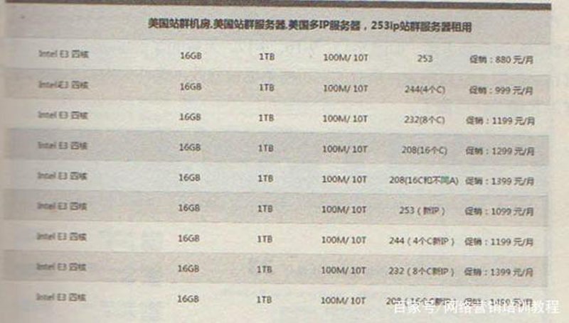 揭秘站群系统：网络营销的新利器