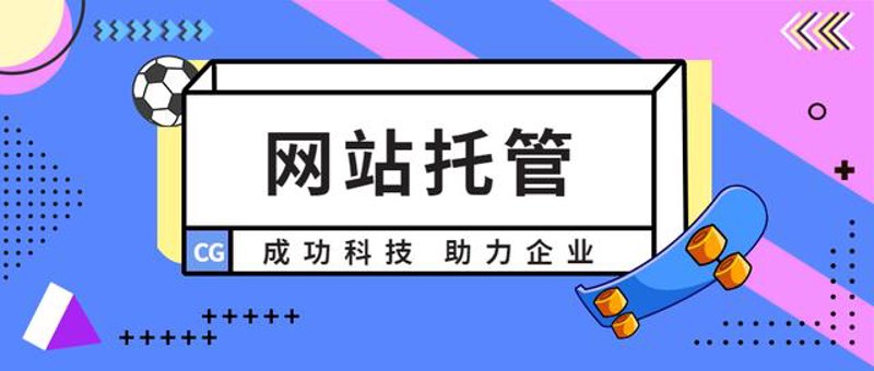 SEO站群布局新趋势:构建网页的生命力